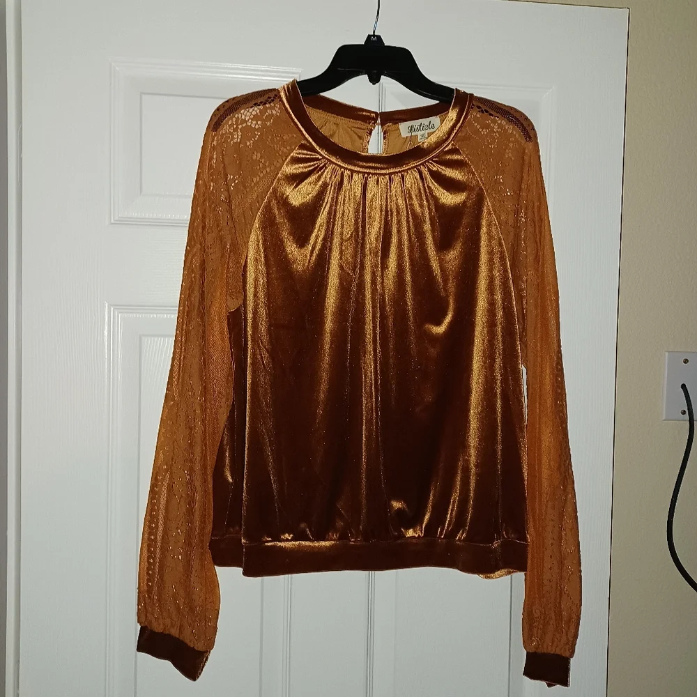 Velvet long sleeved lace sleeves.  The color is brick. - Picture 2 of 9